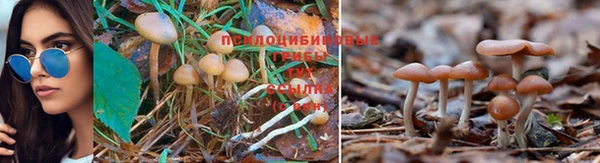 соль курить ск Володарск