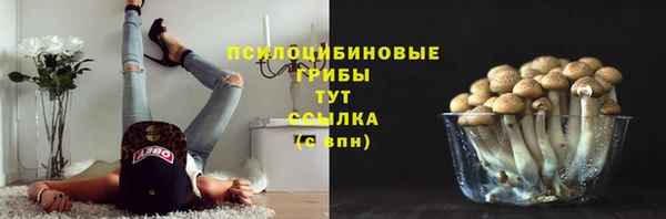 соль курить ск Володарск