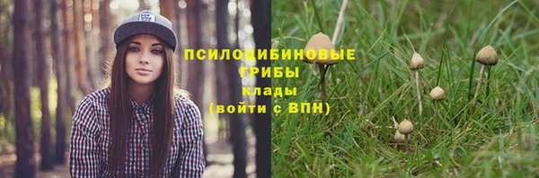 соль курить ск Володарск