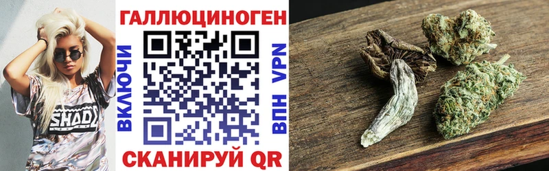 Галлюциногенные грибы Cubensis  купить  цена  Петропавловск-Камчатский 