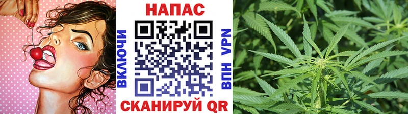Марихуана OG Kush  мега ТОР  Петропавловск-Камчатский 